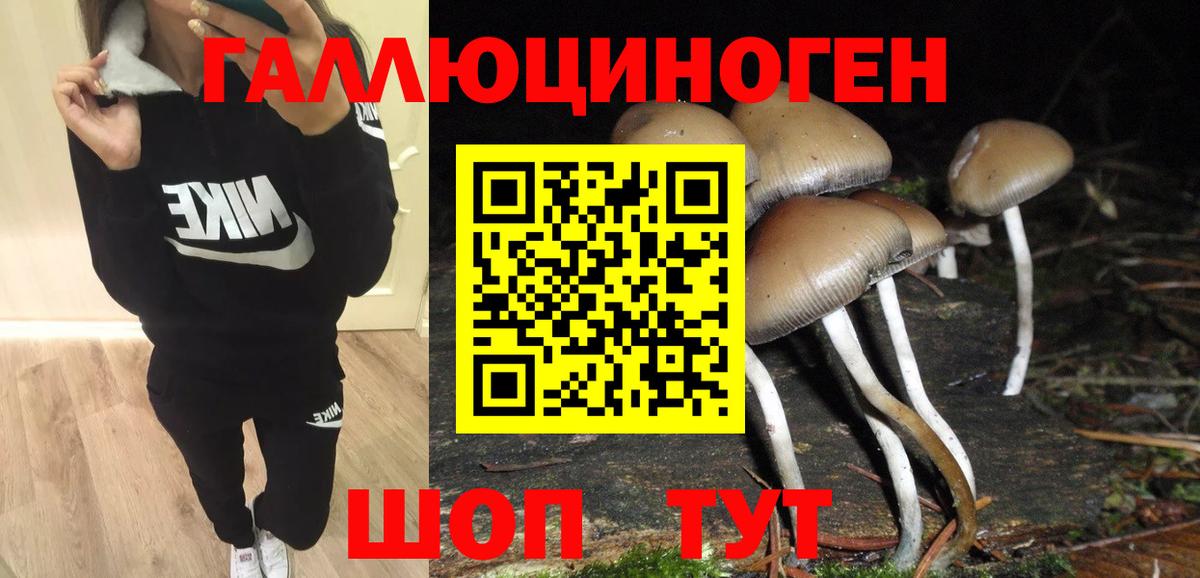 Псилоцибиновые грибы Magic Shrooms  что такое   Псилоцибиновые грибы мухоморы  Тимашёвск  Вход с VPN 